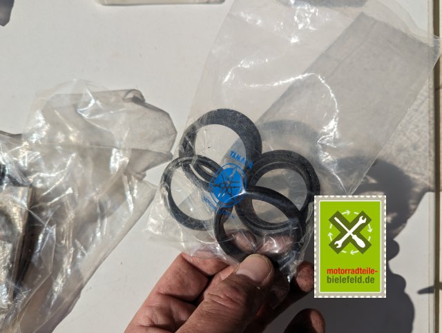 PXL_20240528_153145698